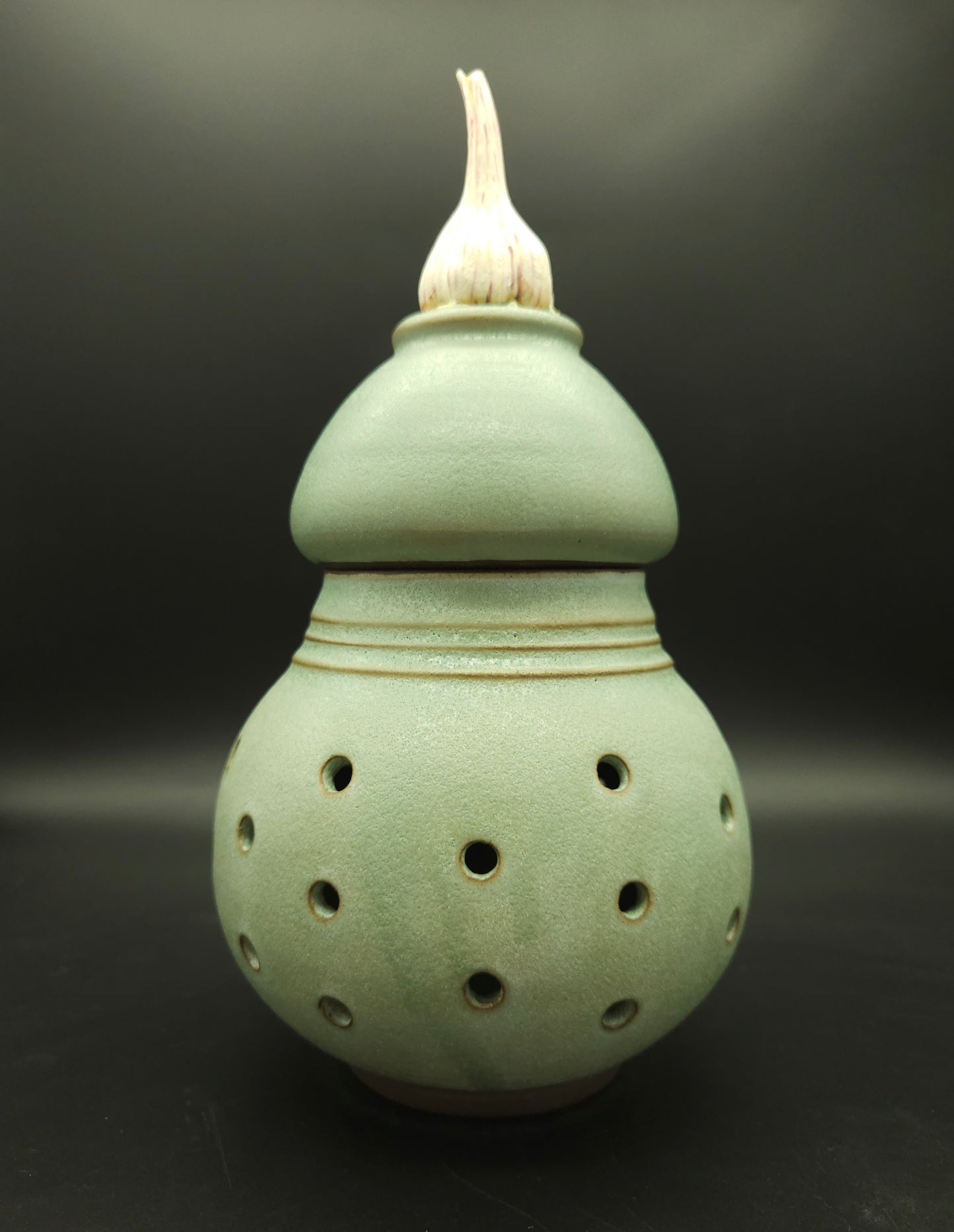 Whimsical Garlic Keeper